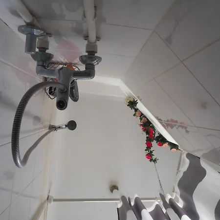 El Diablo * בלגרד